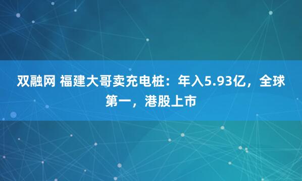 双融网 福建大哥卖充电桩：年入5.93亿，全球第一，港股上市