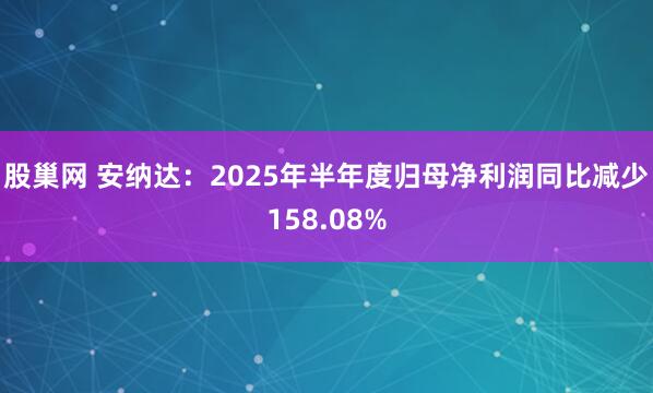 股巢网 安纳达：2025年半年度归母净利润同比减少158.08%